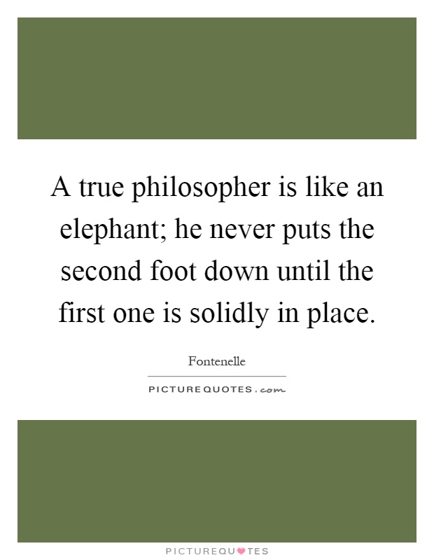 A true philosopher is like an elephant; he never puts the second foot down until the first one is solidly in place Picture Quote #1