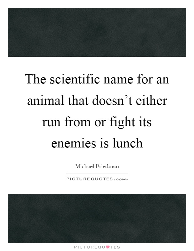 The scientific name for an animal that doesn't either run from or fight its enemies is lunch Picture Quote #1