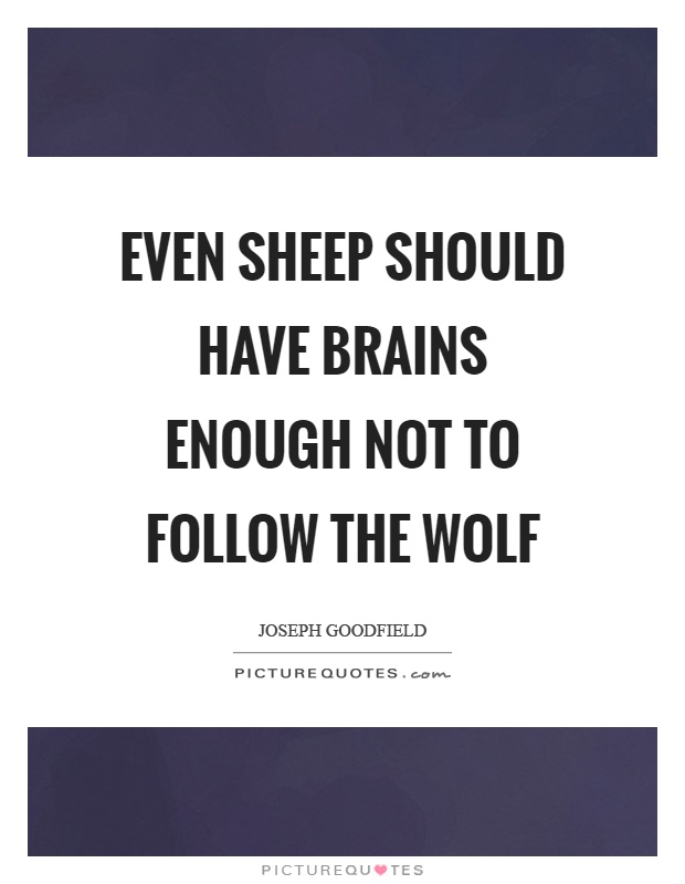 Even sheep should have brains enough not to follow the wolf Picture Quote #1