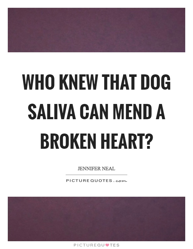 Who knew that dog saliva can mend a broken heart? Picture Quote #1