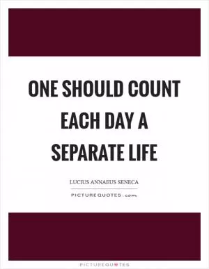 One should count each day a separate life Picture Quote #1
