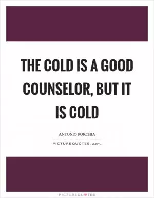 The cold is a good counselor, but it is cold Picture Quote #1