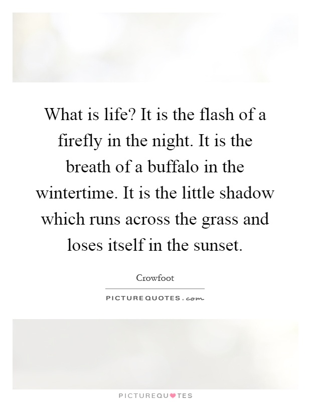 What is life? It is the flash of a firefly in the night. It is the breath of a buffalo in the wintertime. It is the little shadow which runs across the grass and loses itself in the sunset Picture Quote #1
