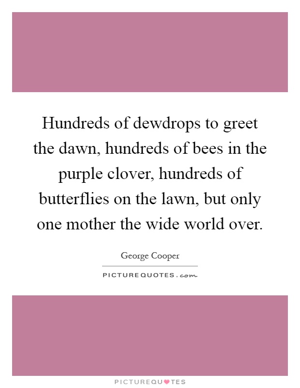 Hundreds of dewdrops to greet the dawn, hundreds of bees in the purple clover, hundreds of butterflies on the lawn, but only one mother the wide world over Picture Quote #1