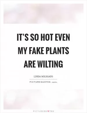 It’s so hot even my fake plants are wilting Picture Quote #1