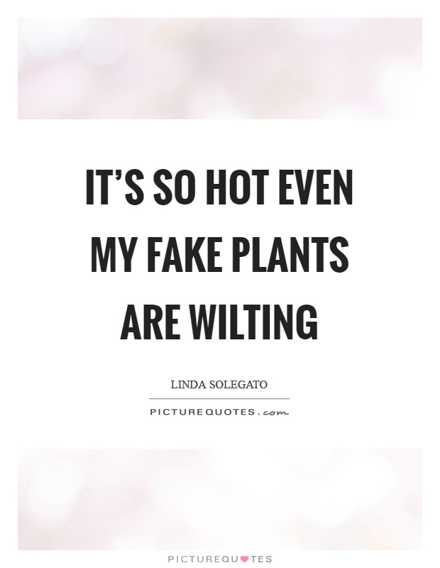 It's so hot even my fake plants are wilting Picture Quote #1