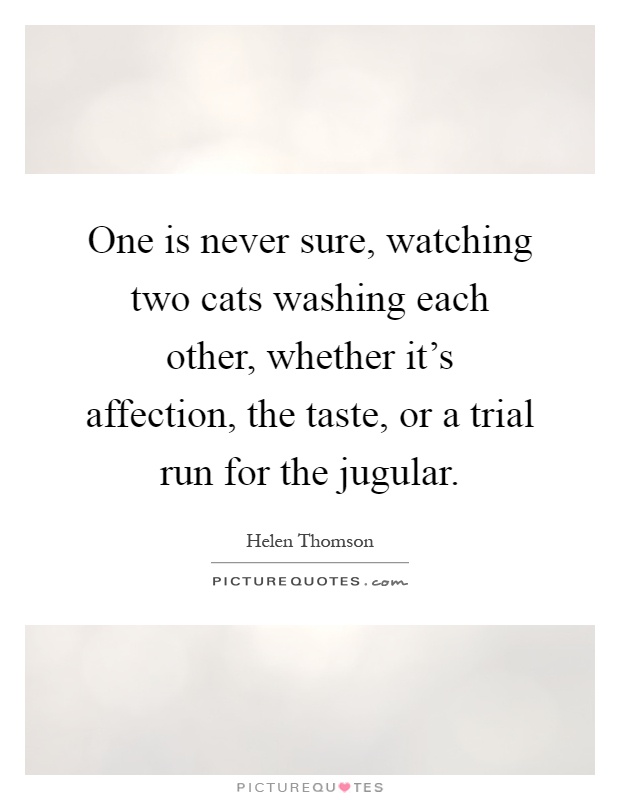 One is never sure, watching two cats washing each other, whether it's affection, the taste, or a trial run for the jugular Picture Quote #1