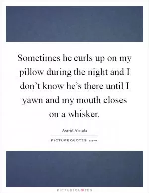 Sometimes he curls up on my pillow during the night and I don’t know he’s there until I yawn and my mouth closes on a whisker Picture Quote #1