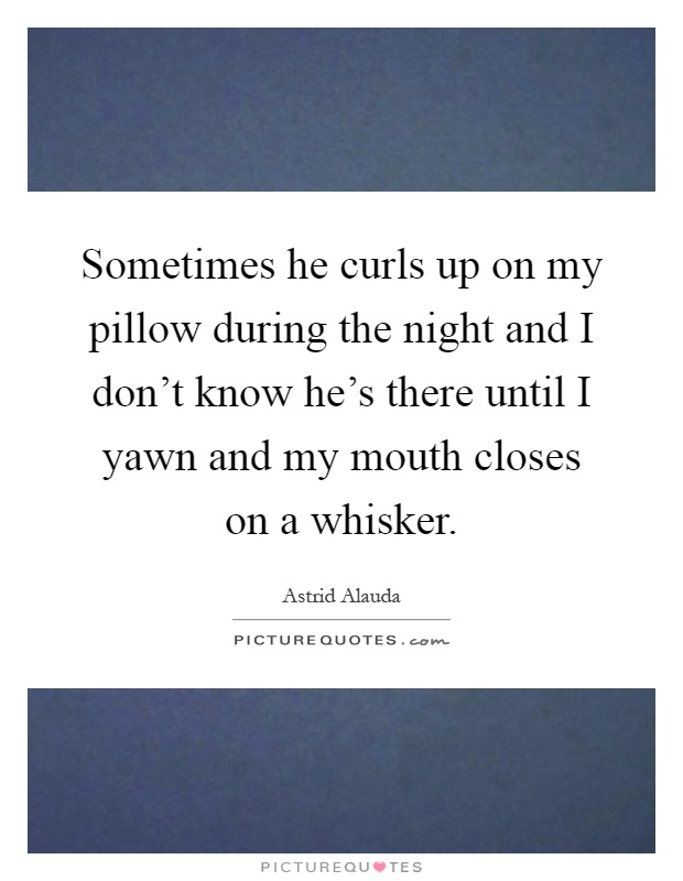 Sometimes he curls up on my pillow during the night and I don't know he's there until I yawn and my mouth closes on a whisker Picture Quote #1