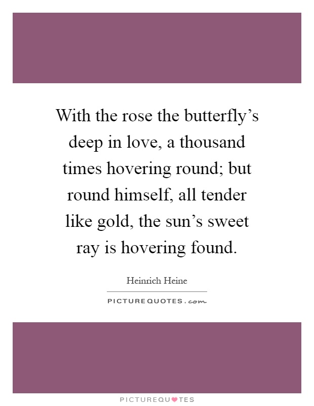 With the rose the butterfly's deep in love, a thousand times hovering round; but round himself, all tender like gold, the sun's sweet ray is hovering found Picture Quote #1