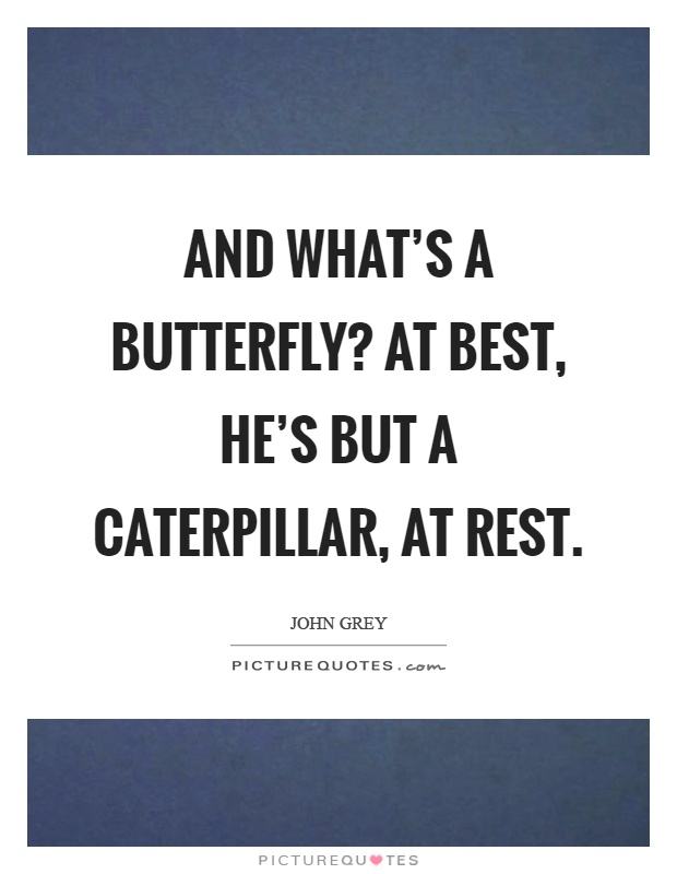 And what's a butterfly? At best, he's but a caterpillar, at rest Picture Quote #1