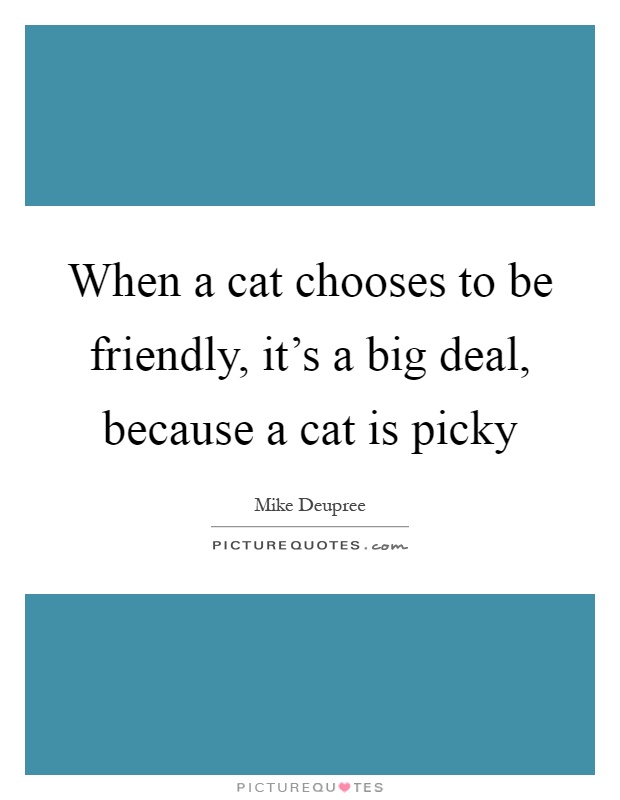 When a cat chooses to be friendly, it's a big deal, because a cat is picky Picture Quote #1