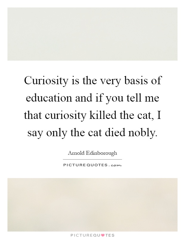 Curiosity is the very basis of education and if you tell me that curiosity killed the cat, I say only the cat died nobly Picture Quote #1