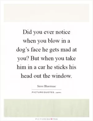 Did you ever notice when you blow in a dog’s face he gets mad at you? But when you take him in a car he sticks his head out the window Picture Quote #1