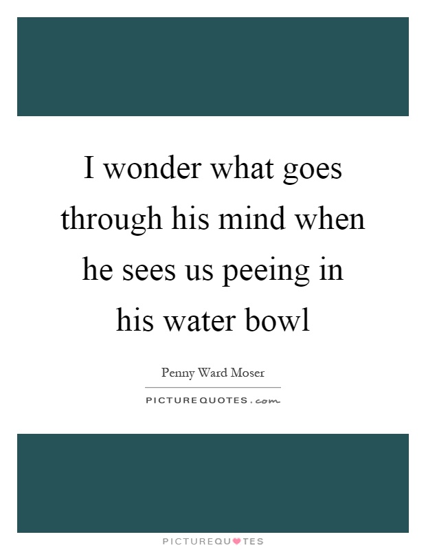 I wonder what goes through his mind when he sees us peeing in his water bowl Picture Quote #1