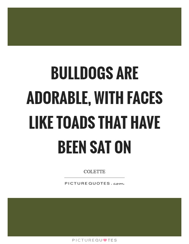 Bulldogs are adorable, with faces like toads that have been sat on Picture Quote #1