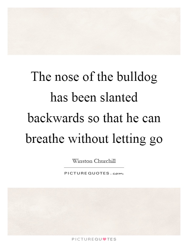 The nose of the bulldog has been slanted backwards so that he can breathe without letting go Picture Quote #1