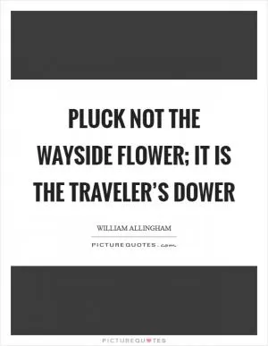 Pluck not the wayside flower; it is the traveler’s dower Picture Quote #1