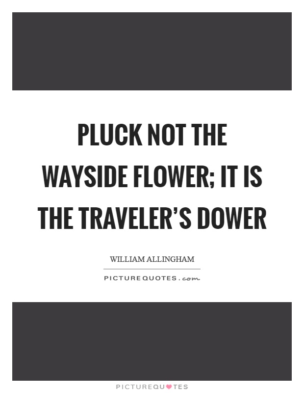 Pluck not the wayside flower; it is the traveler's dower Picture Quote #1