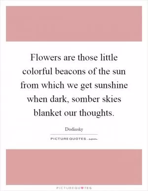 Flowers are those little colorful beacons of the sun from which we get sunshine when dark, somber skies blanket our thoughts Picture Quote #1