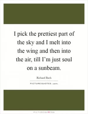 I pick the prettiest part of the sky and I melt into the wing and then into the air, till I’m just soul on a sunbeam Picture Quote #1