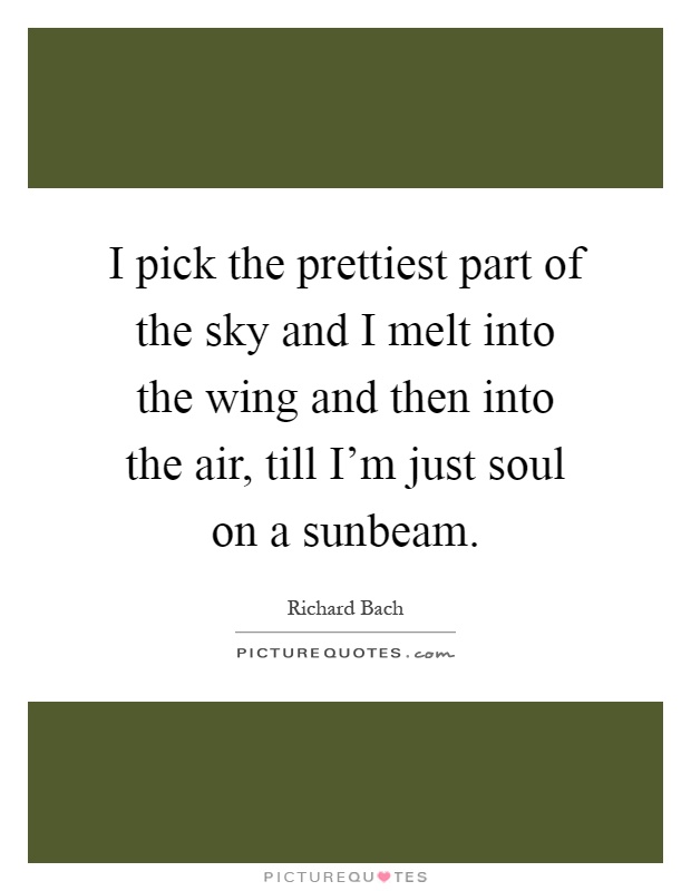 I pick the prettiest part of the sky and I melt into the wing and then into the air, till I'm just soul on a sunbeam Picture Quote #1