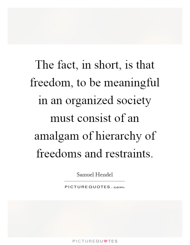 The fact, in short, is that freedom, to be meaningful in an organized society must consist of an amalgam of hierarchy of freedoms and restraints Picture Quote #1