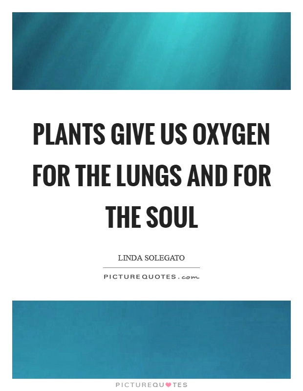 Plants give us oxygen for the lungs and for the soul Picture Quote #1