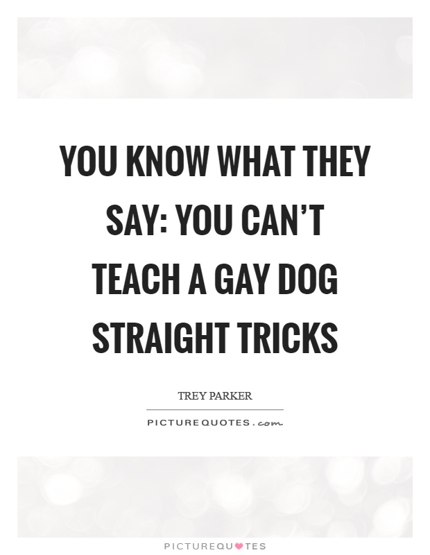 You know what they say: You can't teach a gay dog straight tricks Picture Quote #1