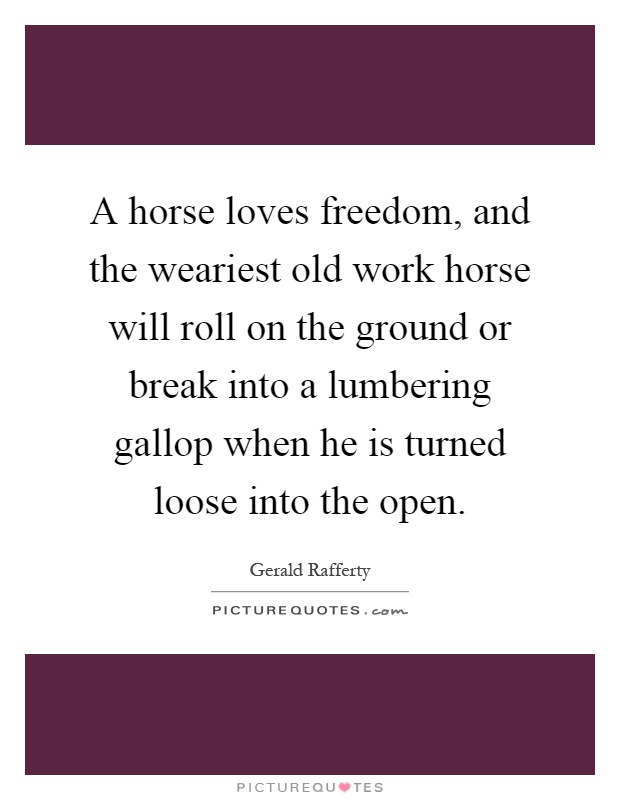A horse loves freedom, and the weariest old work horse will roll on the ground or break into a lumbering gallop when he is turned loose into the open Picture Quote #1