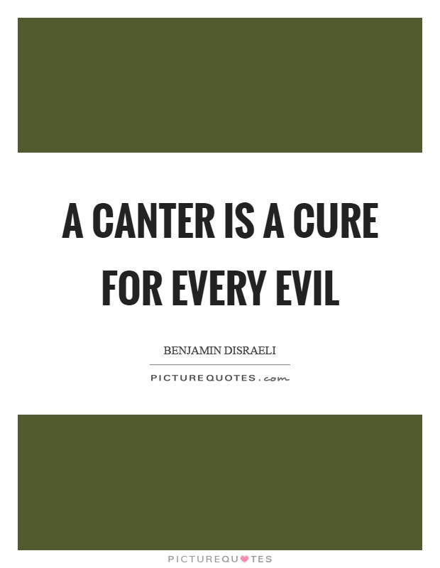 A canter is a cure for every evil Picture Quote #1