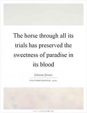 The horse through all its trials has preserved the sweetness of paradise in its blood Picture Quote #1