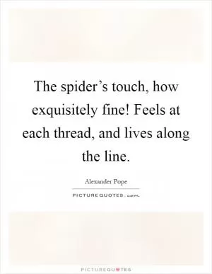 The spider’s touch, how exquisitely fine! Feels at each thread, and lives along the line Picture Quote #1
