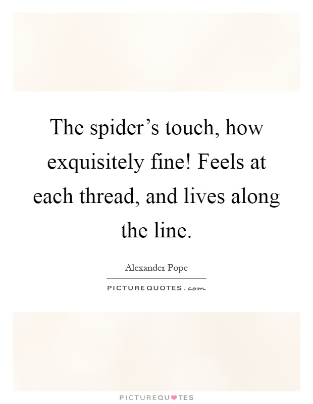 The spider's touch, how exquisitely fine! Feels at each thread, and lives along the line Picture Quote #1
