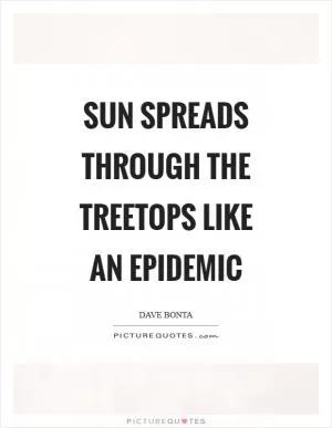 Sun spreads through the treetops like an epidemic Picture Quote #1