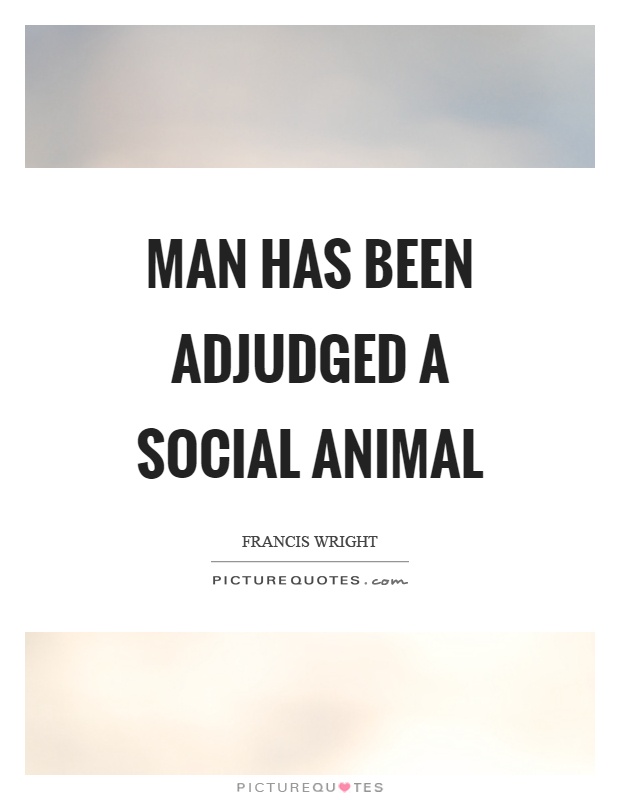Man has been adjudged a social animal Picture Quote #1