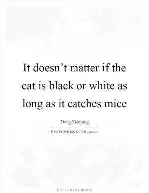 It doesn’t matter if the cat is black or white as long as it catches mice Picture Quote #1