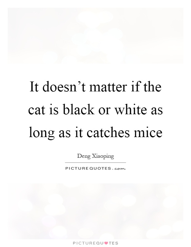 It doesn't matter if the cat is black or white as long as it catches mice Picture Quote #1