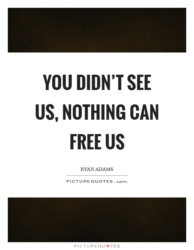 You didn't see us, nothing can free us Picture Quote #1