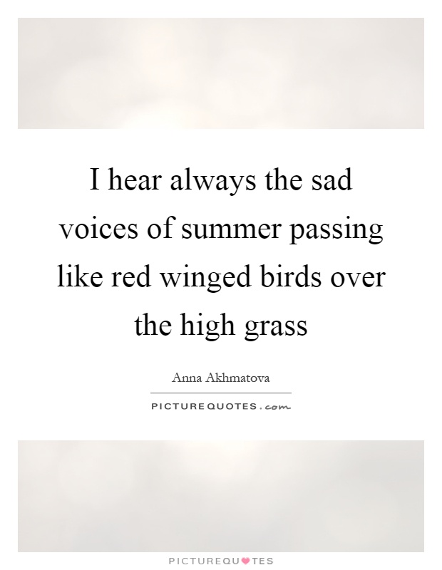 I hear always the sad voices of summer passing like red winged birds over the high grass Picture Quote #1