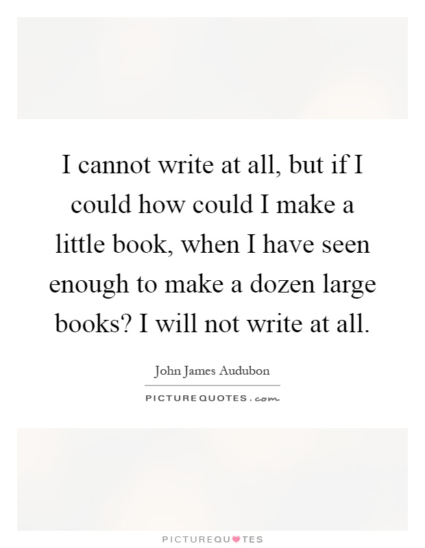 I cannot write at all, but if I could how could I make a little book, when I have seen enough to make a dozen large books? I will not write at all Picture Quote #1