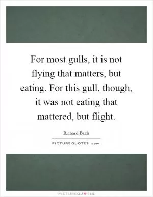 For most gulls, it is not flying that matters, but eating. For this gull, though, it was not eating that mattered, but flight Picture Quote #1