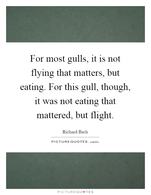 For most gulls, it is not flying that matters, but eating. For this gull, though, it was not eating that mattered, but flight Picture Quote #1