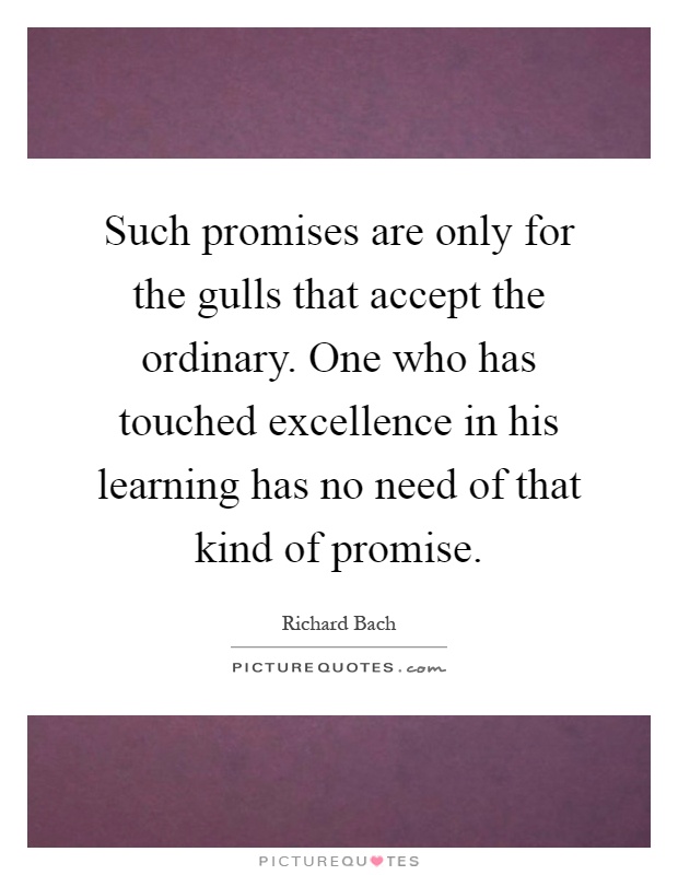Such promises are only for the gulls that accept the ordinary. One who has touched excellence in his learning has no need of that kind of promise Picture Quote #1