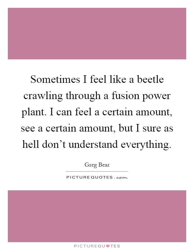 Sometimes I feel like a beetle crawling through a fusion power plant. I can feel a certain amount, see a certain amount, but I sure as hell don't understand everything Picture Quote #1