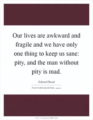 Our lives are awkward and fragile and we have only one thing to keep us sane: pity, and the man without pity is mad Picture Quote #1