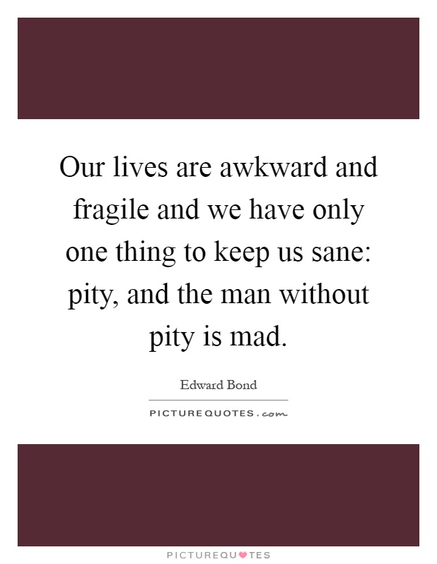 Our lives are awkward and fragile and we have only one thing to keep us sane: pity, and the man without pity is mad Picture Quote #1