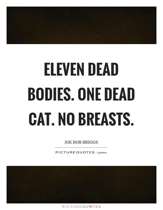 Eleven dead bodies. One dead cat. No breasts Picture Quote #1