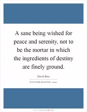 A sane being wished for peace and serenity, not to be the mortar in which the ingredients of destiny are finely ground Picture Quote #1