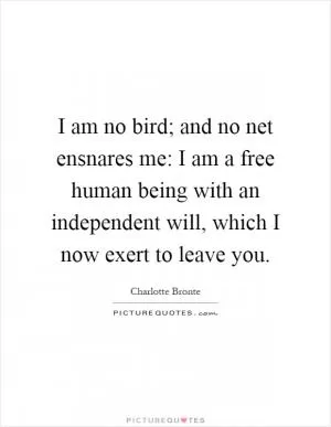 I am no bird; and no net ensnares me: I am a free human being with an independent will, which I now exert to leave you Picture Quote #1